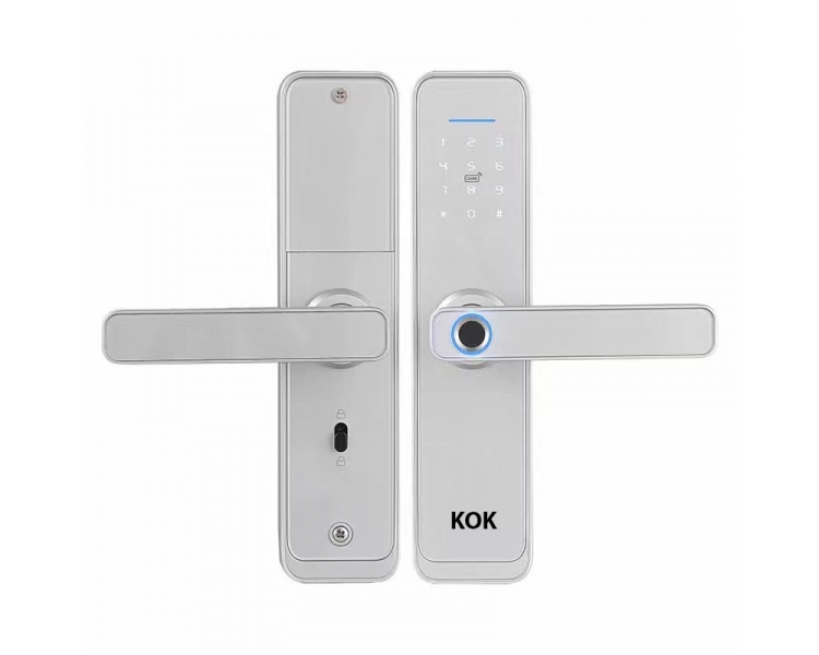 Khóa điện tử KS-X5